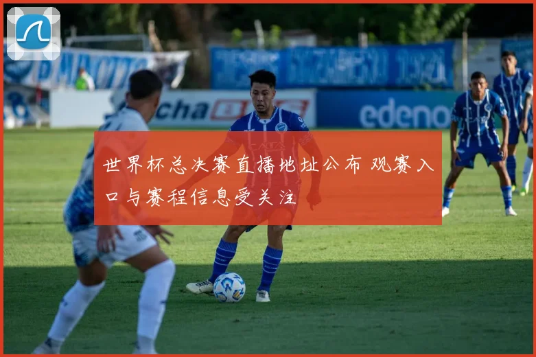 世界杯总决赛直播地址公布 观赛入口与赛程信息受关注