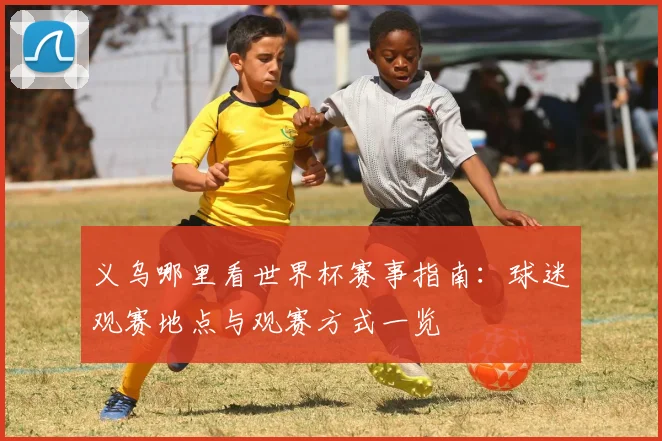 义乌哪里看世界杯赛事指南：球迷观赛地点与观赛方式一览