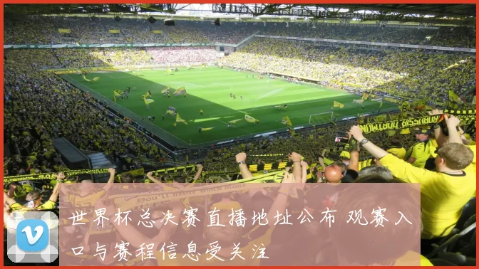 世界杯总决赛直播地址公布 观赛入口与赛程信息受关注